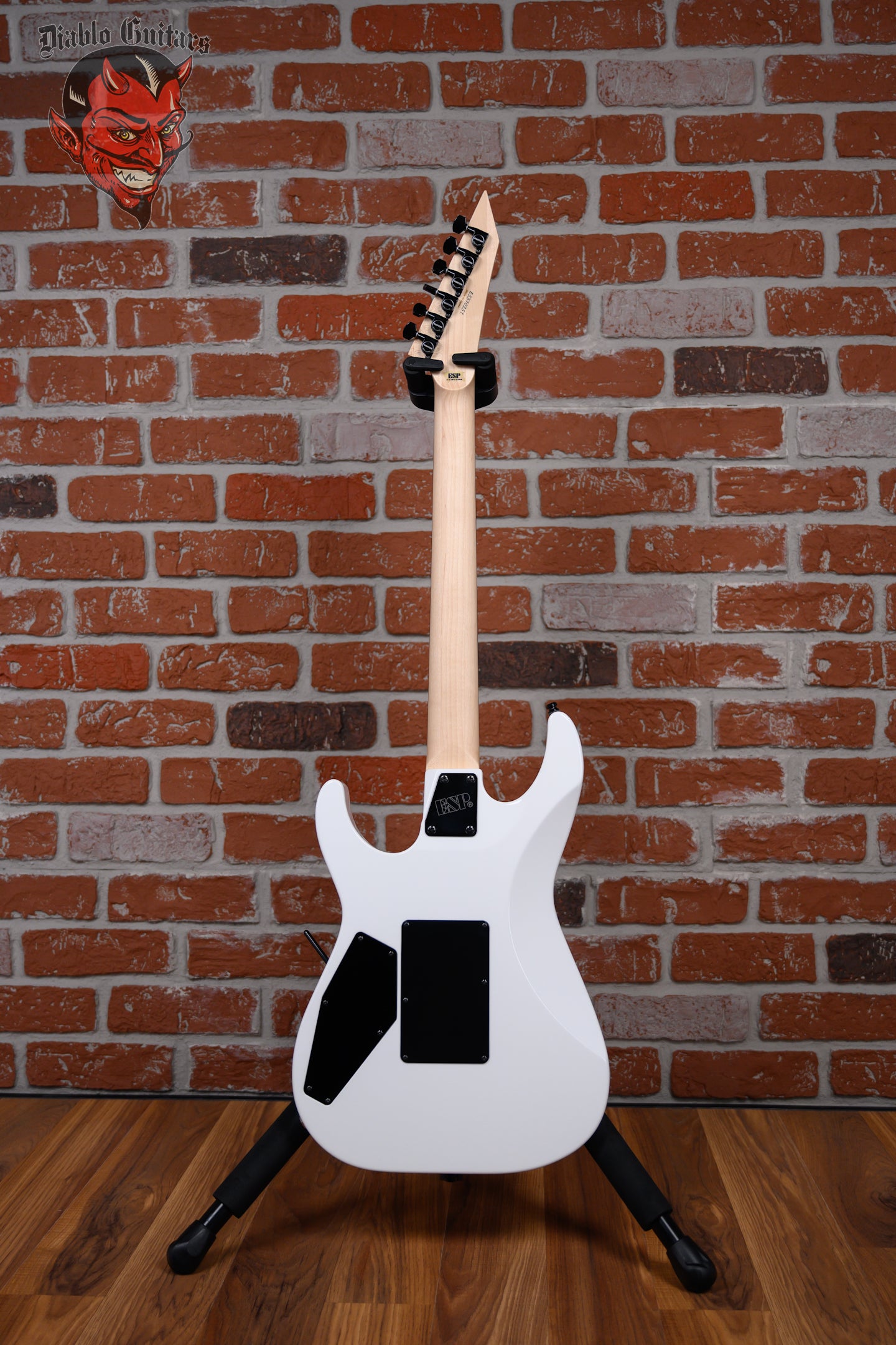 ESP Custom Shop Chris DeGarmo Signature M-II HS Snow White with