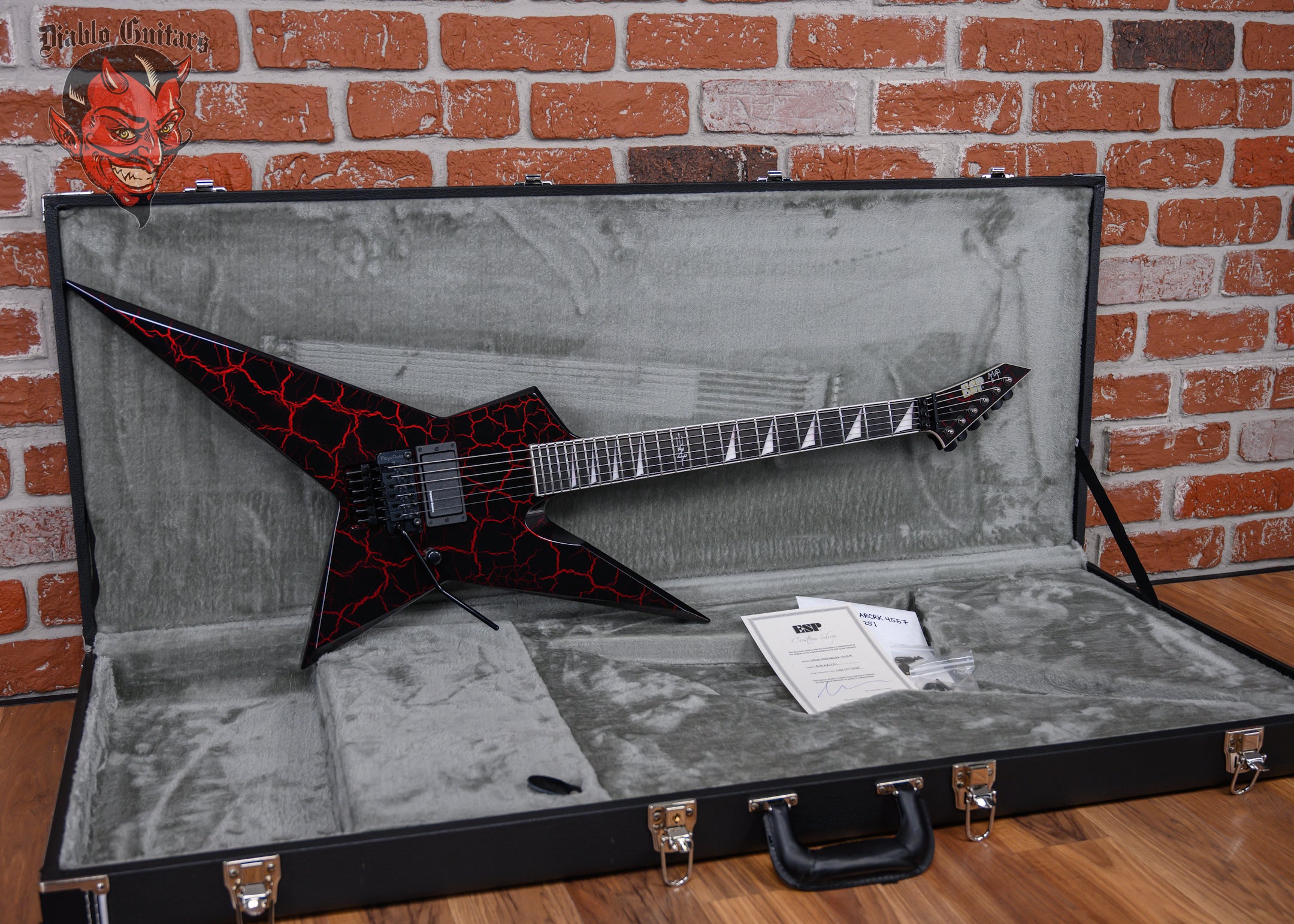 ESP Custom Shop Sammy Duet Random Star Signature Model