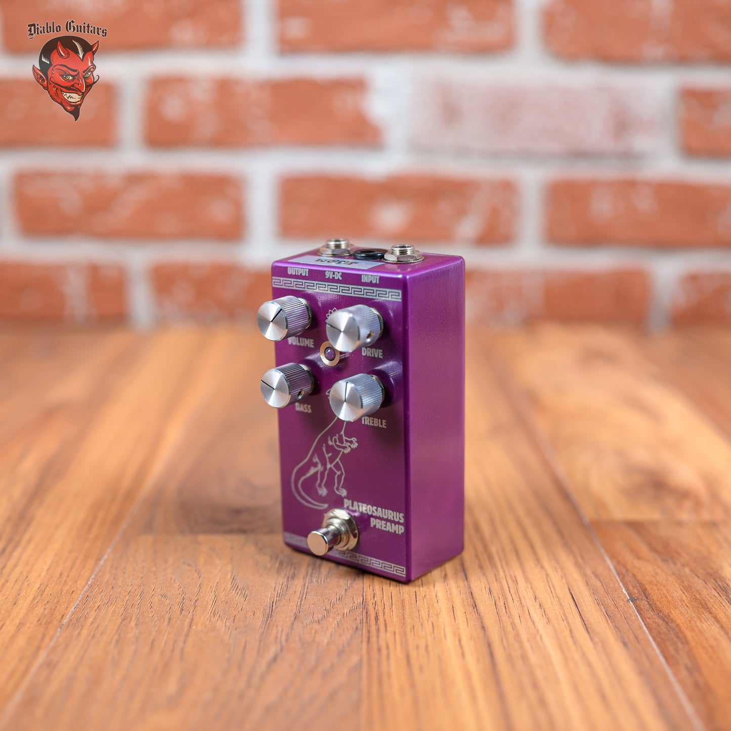 Steggo Plateosaurus Preamp - Benson Preamp Clone
