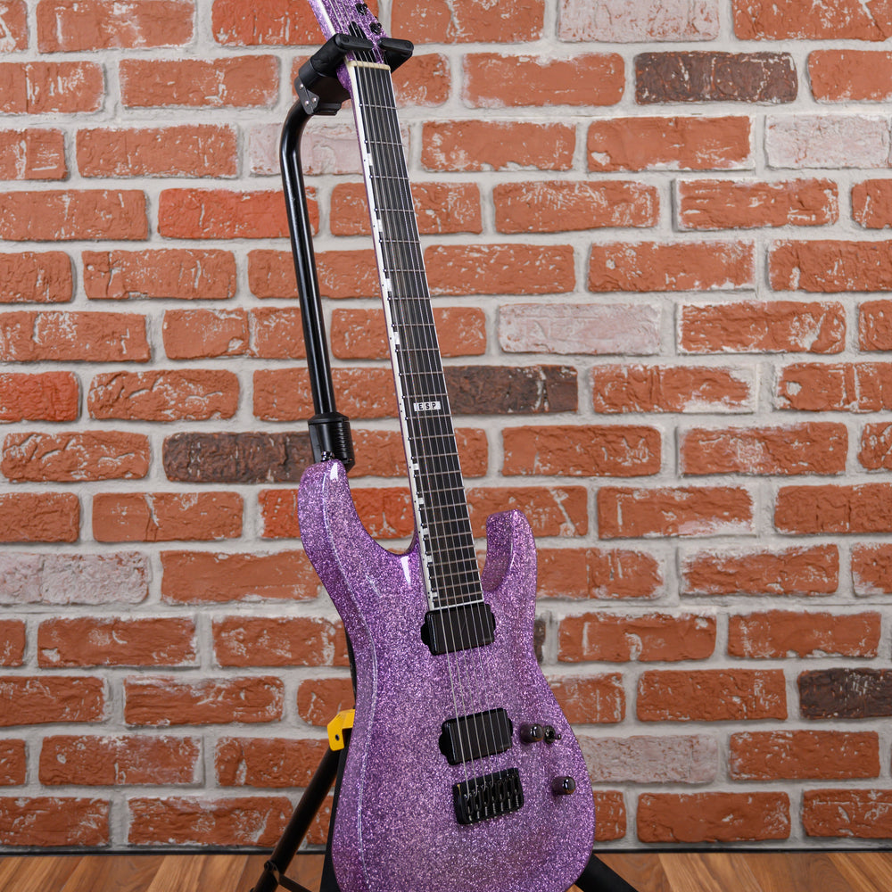 
                      
                        ESP E-II Horizon NT-7B Purple Sparkle 2021 w/OHSC
                      
                    