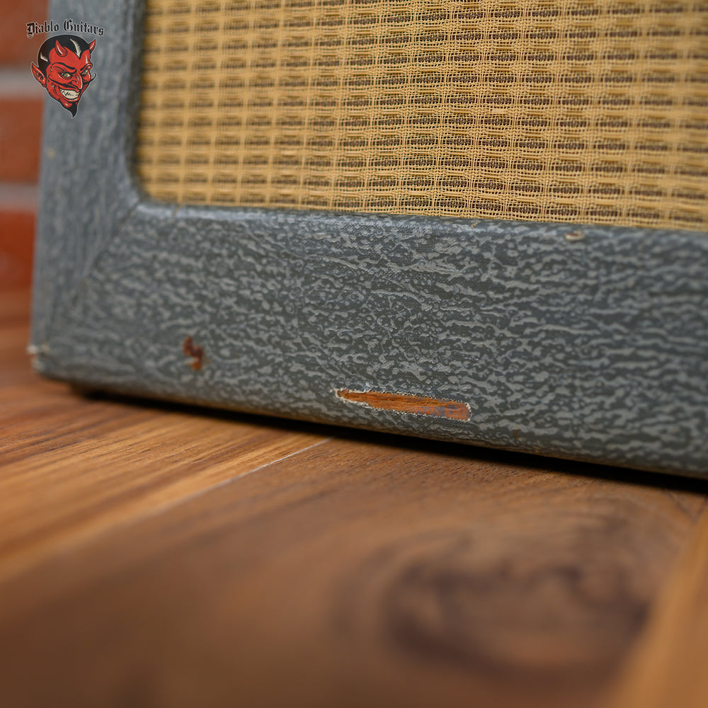 
                      
                        Rickenbacker M-8E Combo 1960s Grey
                      
                    