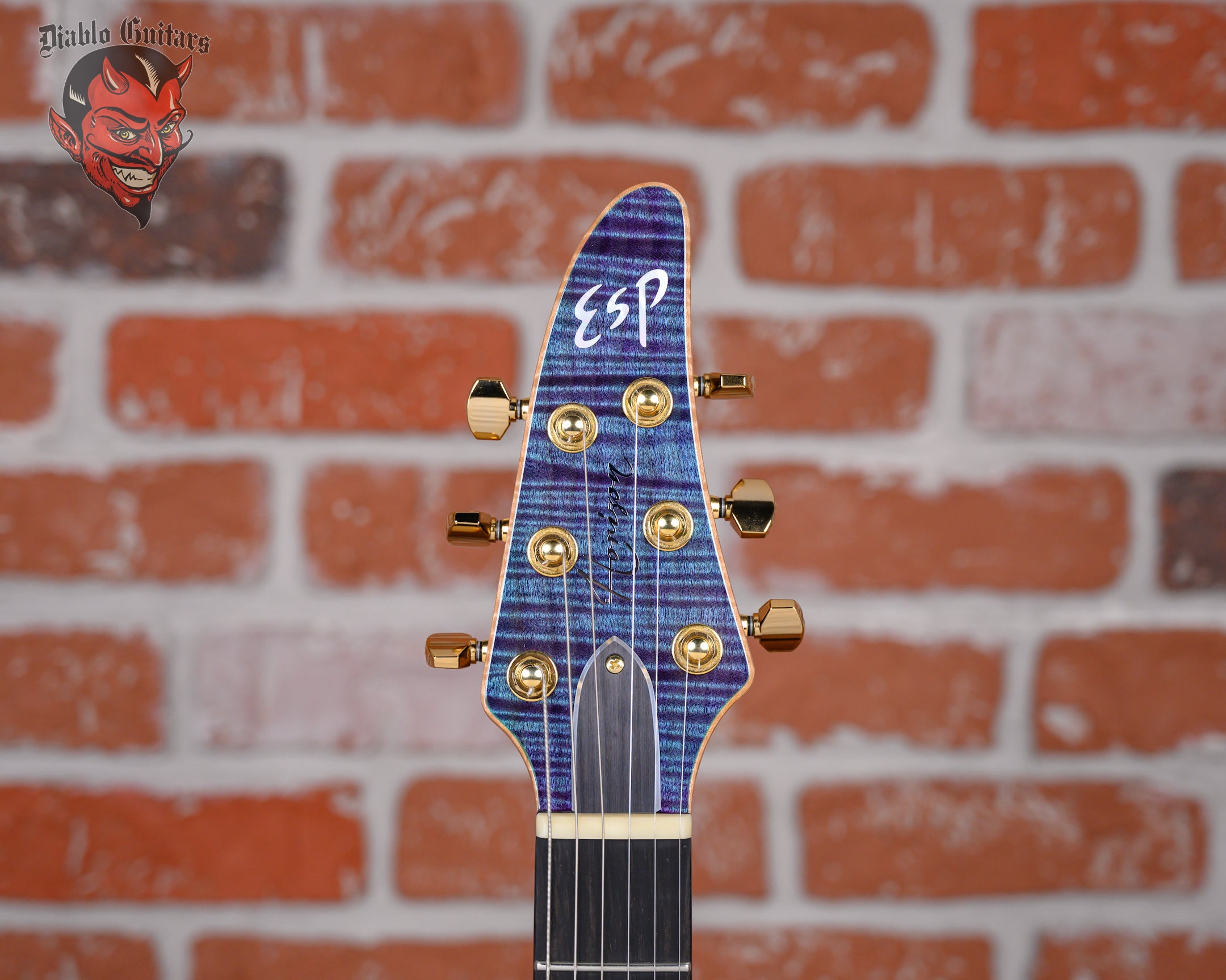ギター ESP Custom Order ST ESP Custom Shop CTM NT FM Horizon Flame Maple Top Indigo Purple