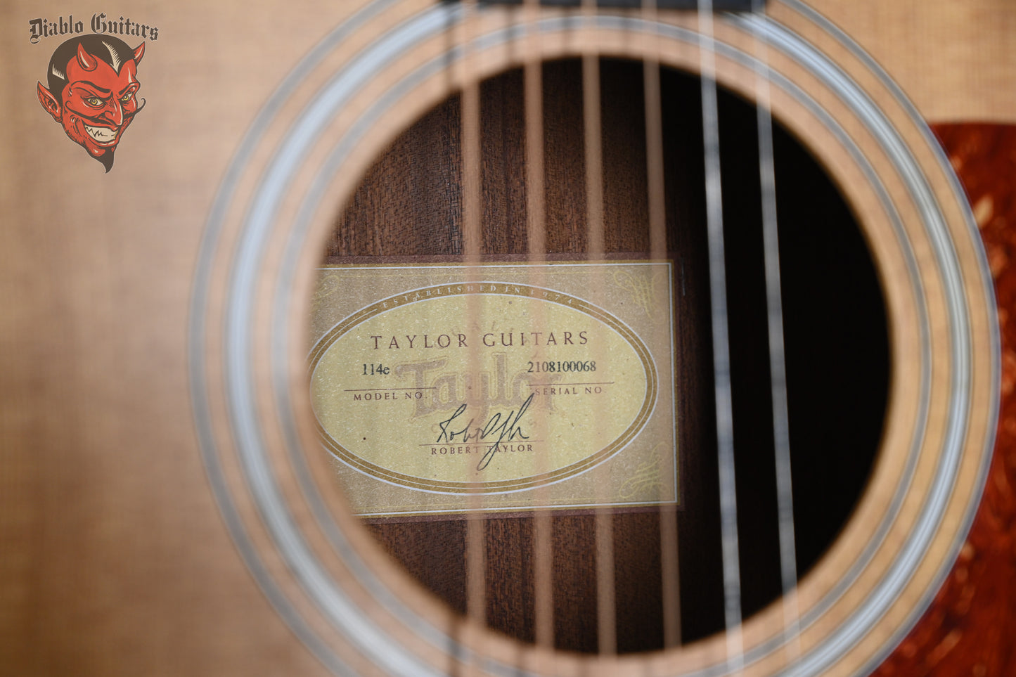 Taylor 110E Satin Natural 2010 w/Original Gigbag