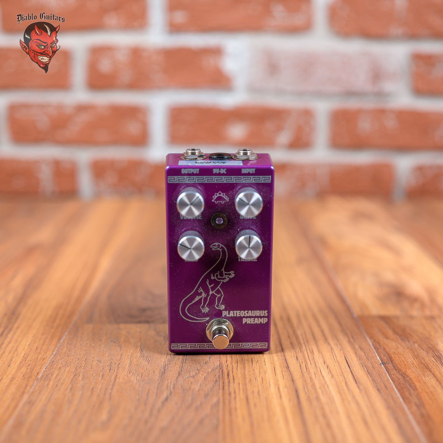 Steggo Plateosaurus Preamp - Benson Preamp Clone