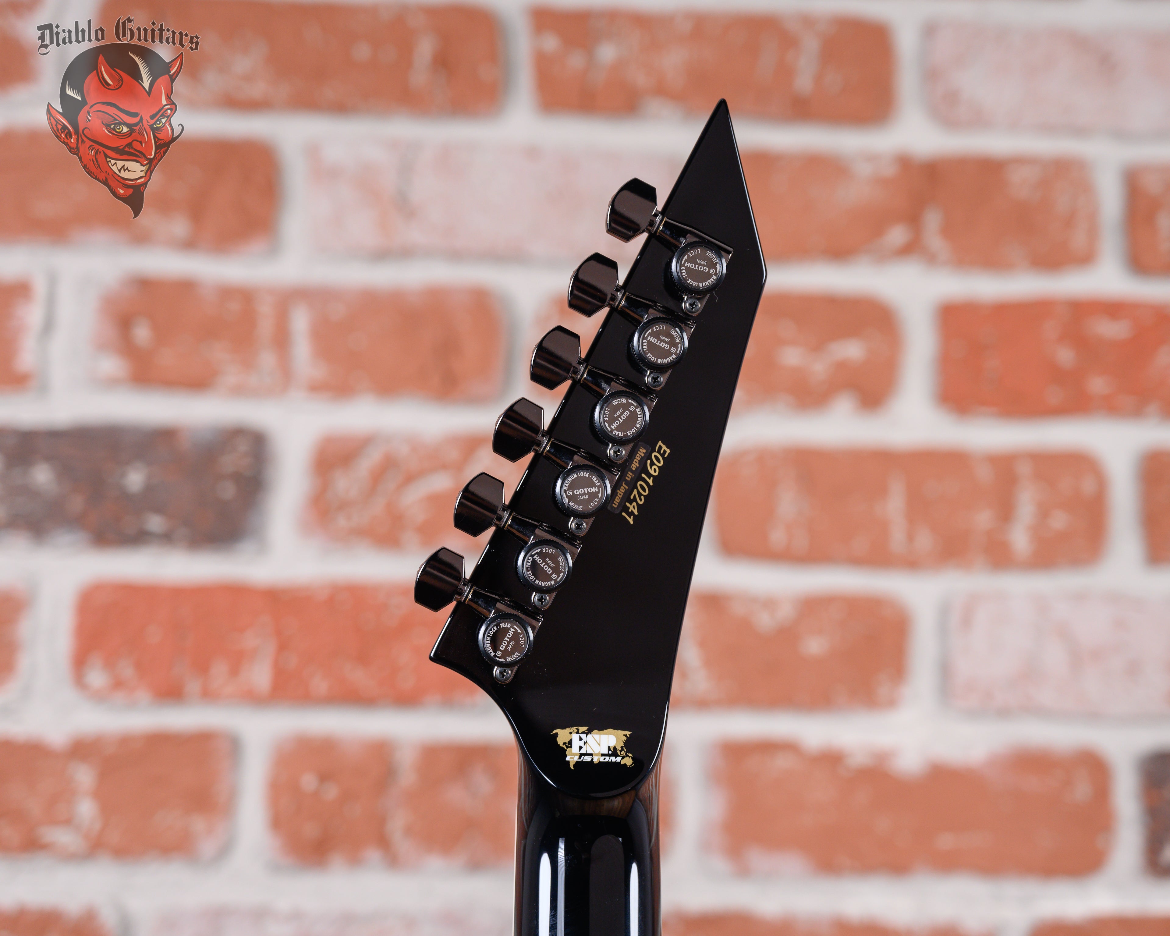 ESP Custom Shop Sammy Duet Signature Arch Top RS FR Black 2025 w
