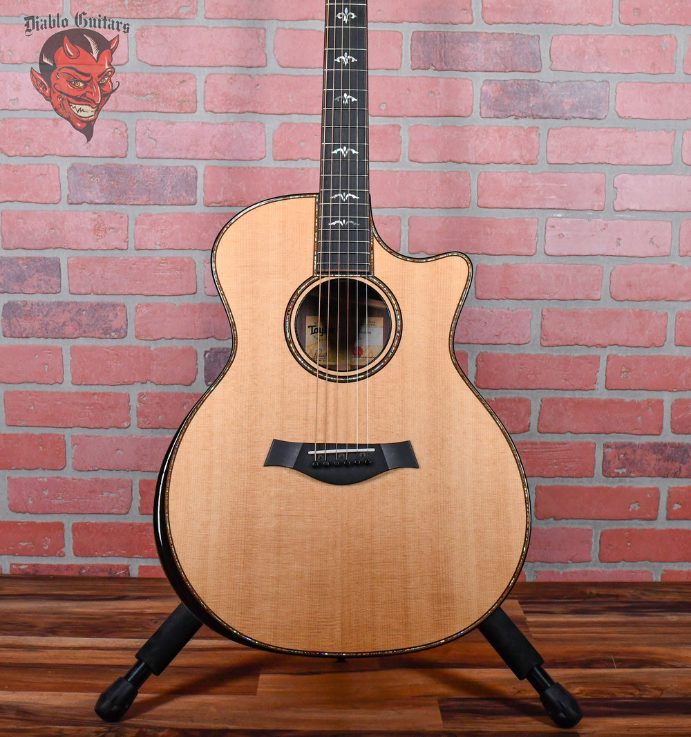 Taylor 914ce with V-Class Bracing Natural 2019 w/OHSC