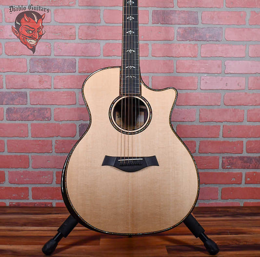 Taylor 914ce with V-Class Bracing Natural 2021 w/OHSC