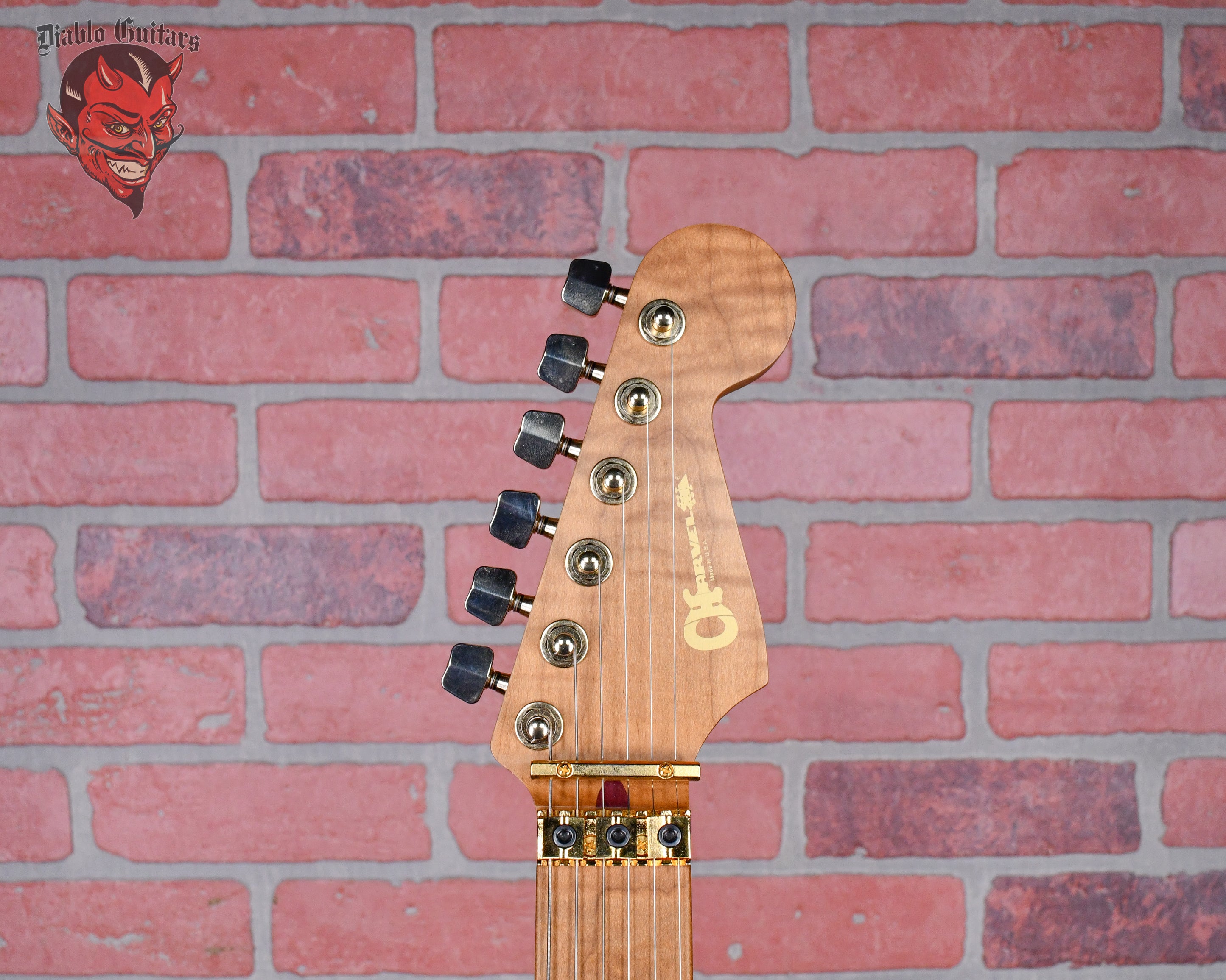 Charvel USA Custom Shop Music Zoo Exclusive Carbonized Recycled Redwood San Dimas Natural Oiled 2012 w/hardshell Case